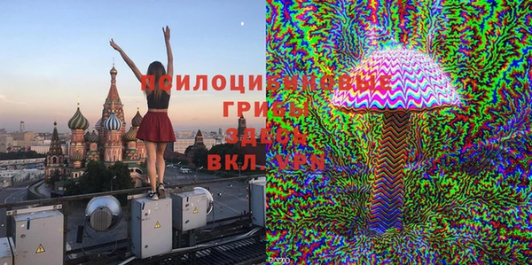 винт Верея
