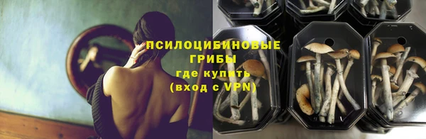 винт Верея