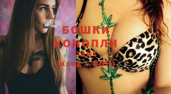 винт Верея