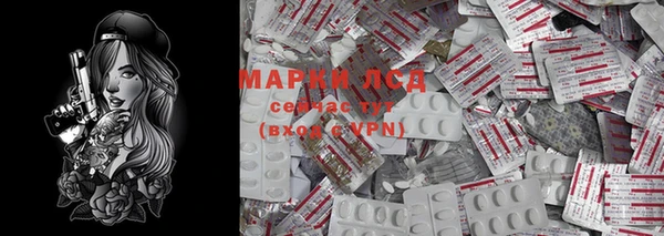 винт Верея