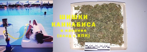 винт Верея